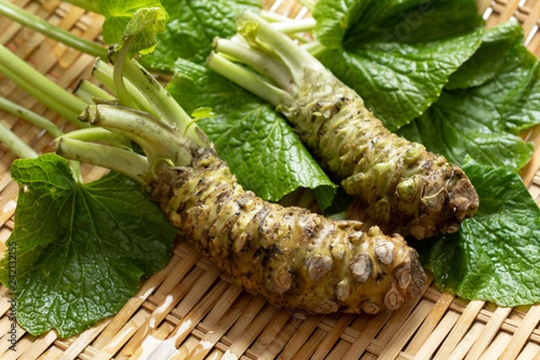 Obraz 本わさびのイメージ