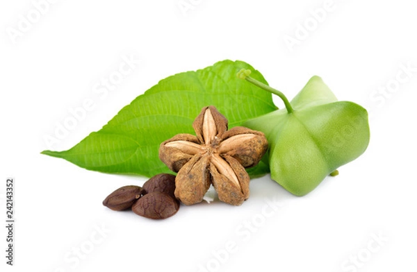 Obraz dried and fresh sacha inchi with leaf on white background