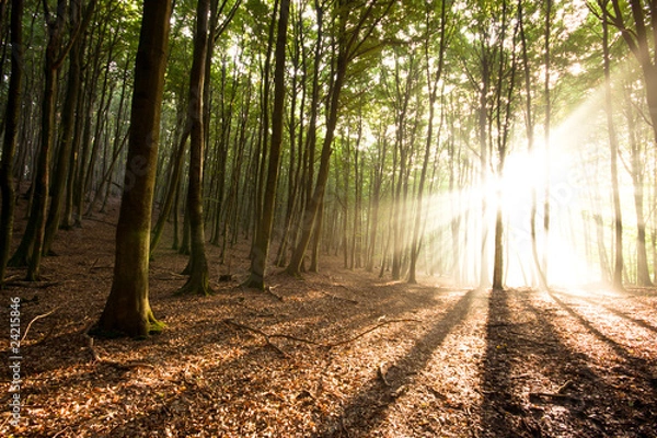 Fototapeta Sonnenstrahlen