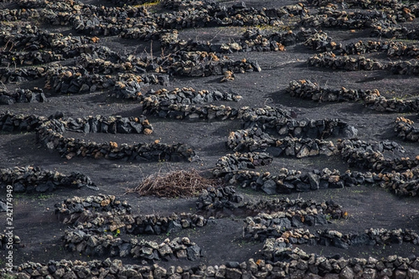 Fototapeta  round stone walls 