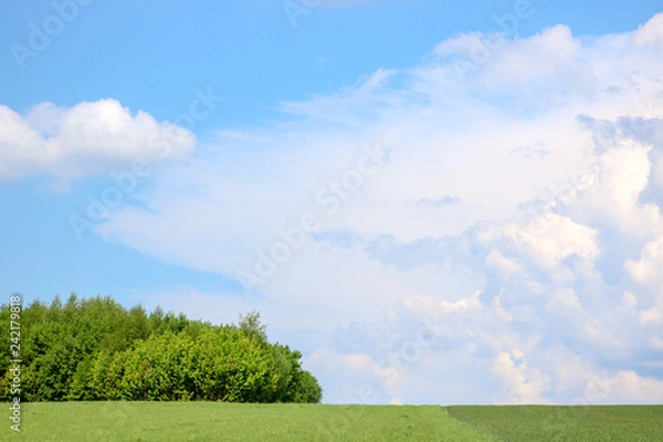 Obraz Blue Sky with Clouds