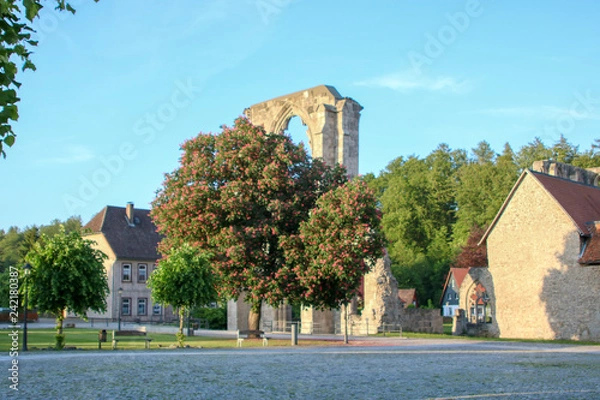 Obraz Baum mit Klosterruine