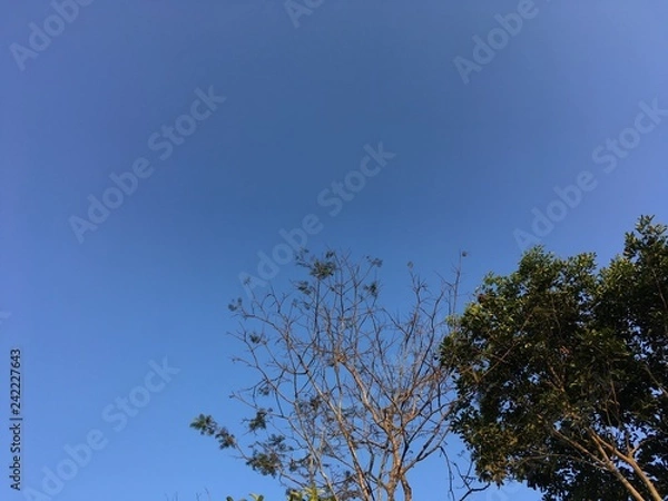 Fototapeta Landscape