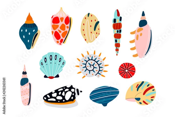 Fototapeta Hand drawn various seashells. Colored vector set. All elements are isolated