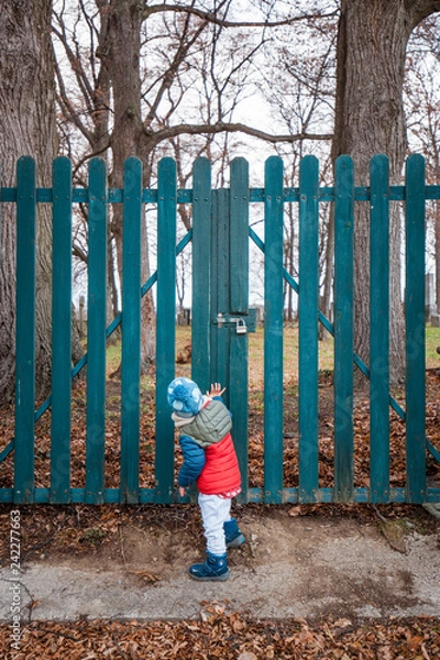 Fototapeta Kind steht vor geschlossenem Gartentor. Kid standing in front of closed garden gate.