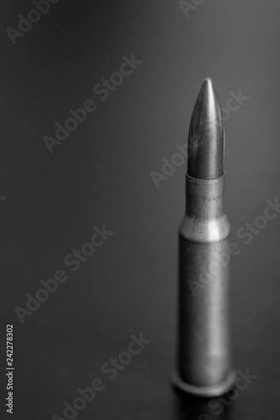 Obraz Пуля черно белое фото