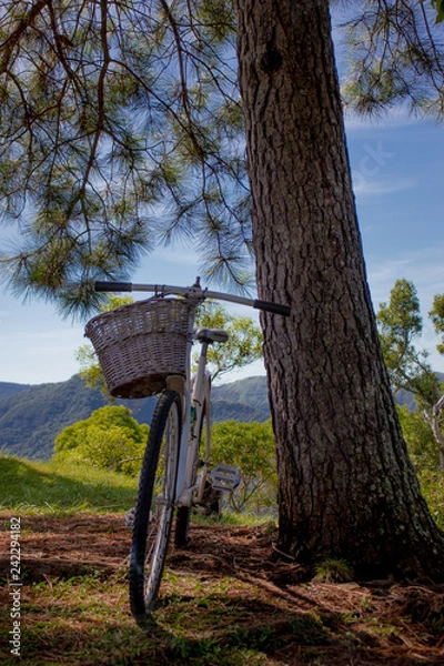 Obraz Evitando a fadiga