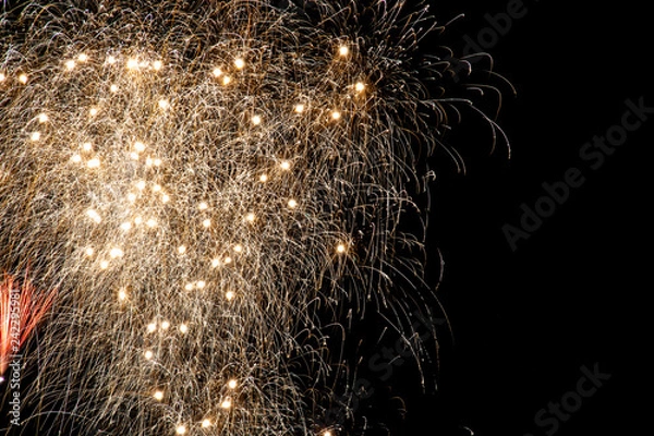 Obraz silvester