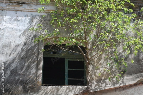 Fototapeta Abandoned build