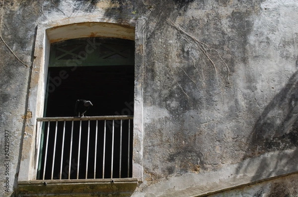 Fototapeta Abandoned build