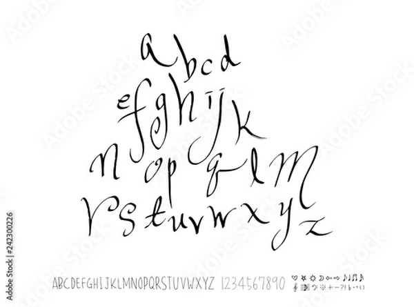 Fototapeta 벡터 문자 / 손으로 쓴 글씨체