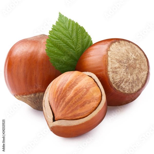 Fototapeta Hazelnuts with leaves, isolated on white background