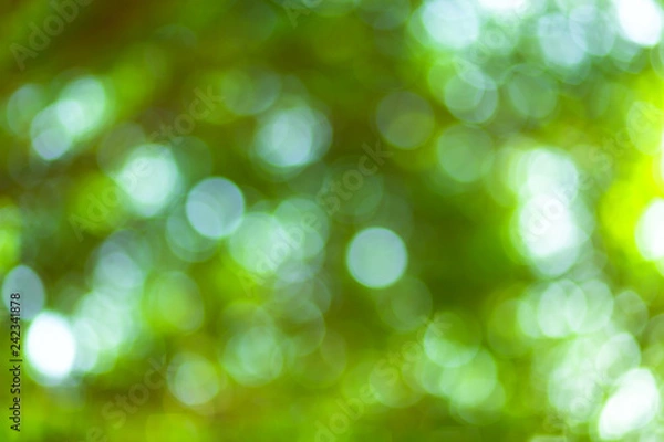 Obraz green bokeh background with circles. Summer abstract theme.