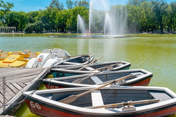 Obraz remo en el lago