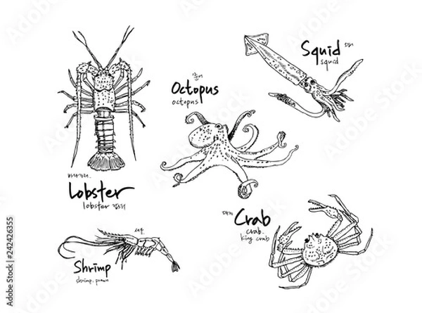 Obraz 해산물 일러스트 / 손으로 그린 수산물 그림