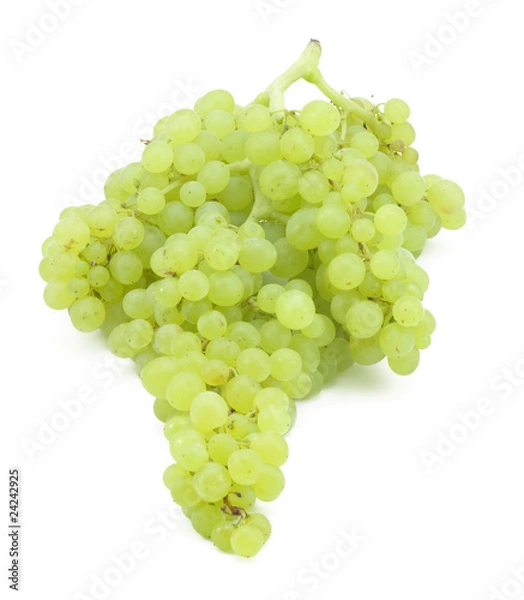 Obraz branch of green grapes