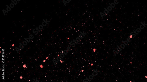 Fototapeta red sakura flying motion, black background, Romantic flying flower red backdrop, Particles Flying on black, Sakura Cherry Blossoms Flying Red, valentine day