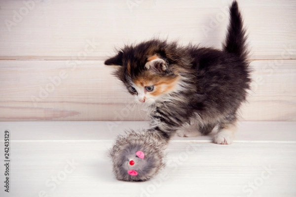 Obraz little kitten playing with a toy mouse on a white wooden background.copy space