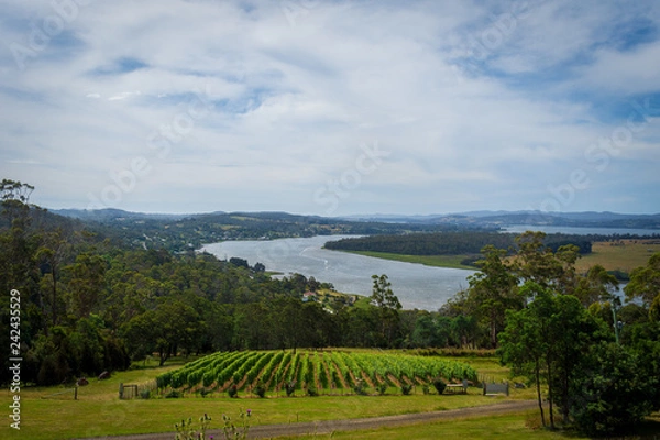 Obraz Winery in Tamar Valley