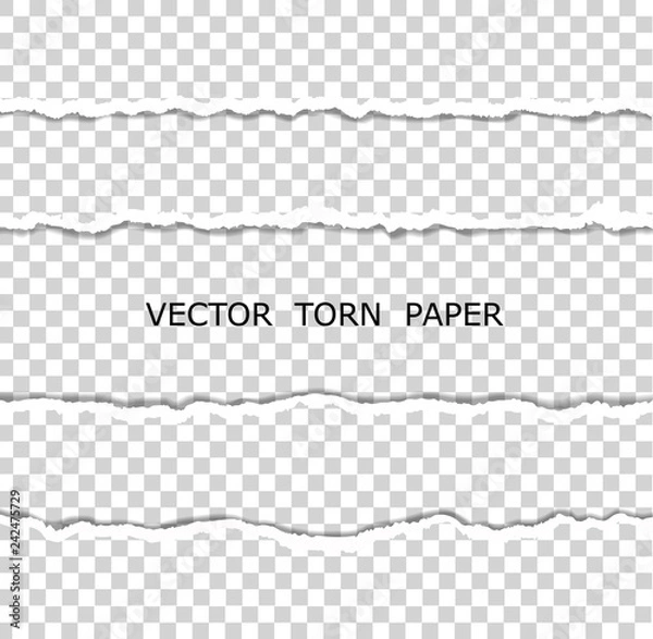 Fototapeta Vector realistic torn paper on transparent background. Torn Paper Edge. Horizontal stripes with a shadow.