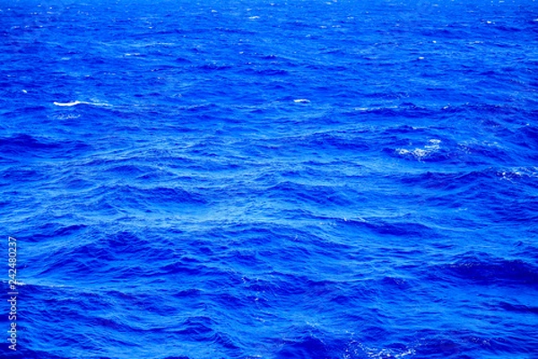 Fototapeta Calm blue ocean