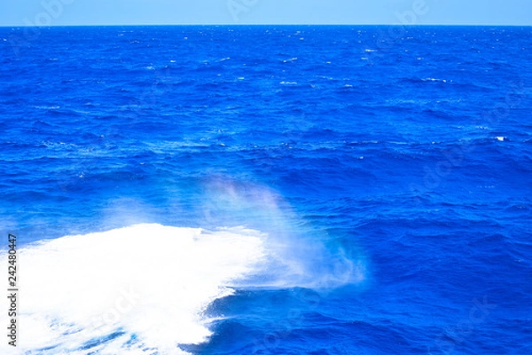 Fototapeta Ocean wave crest