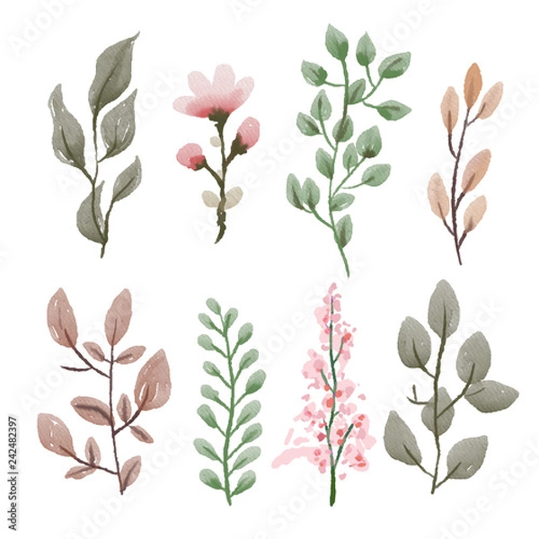 Fototapeta flower background vector design