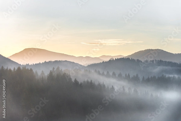 Obraz landscape covered in mist