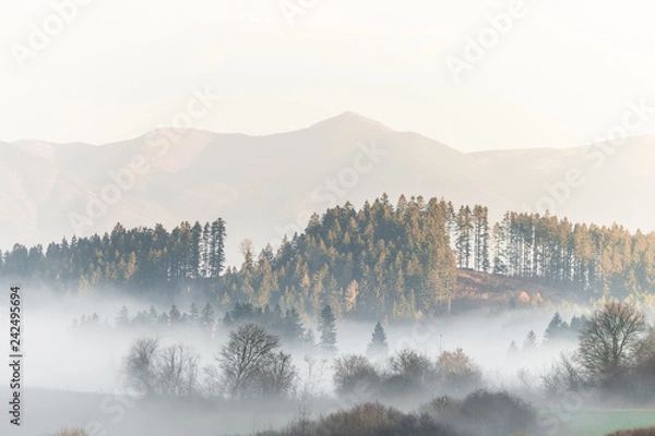 Obraz landscape covered in mist