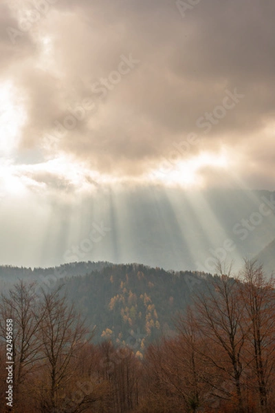 Obraz Sun rays