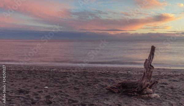 Fototapeta Nerja, Malaga, Andalusi, Spain - November 23, 2018: Old tree trunk stranded on a beach in a beautiful sunset