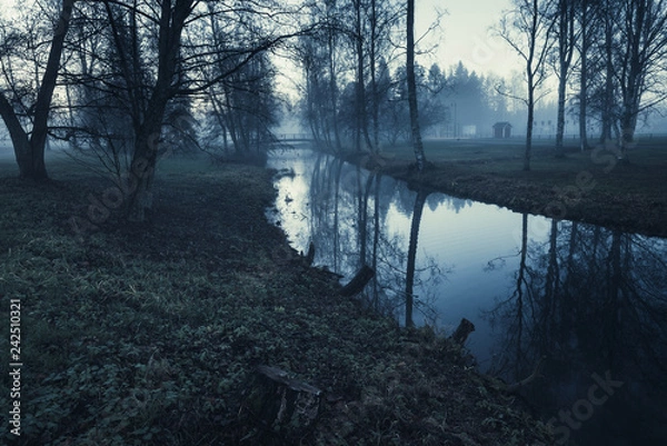 Obraz Blue forest path