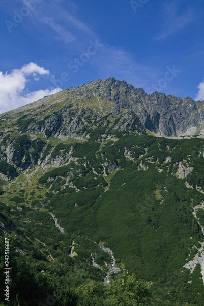 Obraz High mountain and green forest