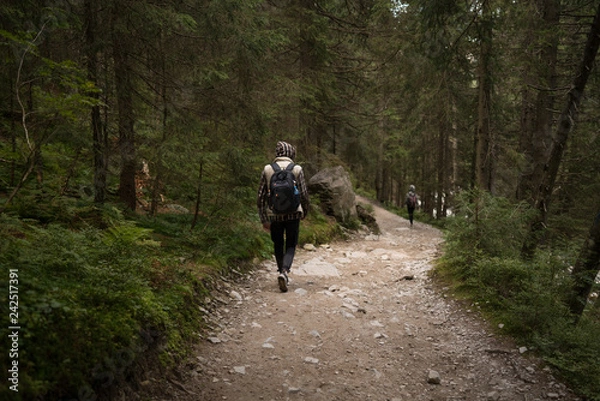 Obraz The guy going on a mountain trail