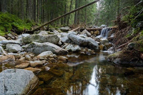 Obraz forest nature waterfall