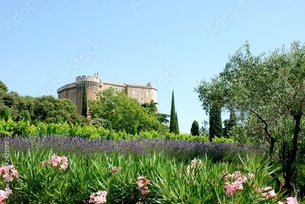 Obraz Château de Suze la Rousse