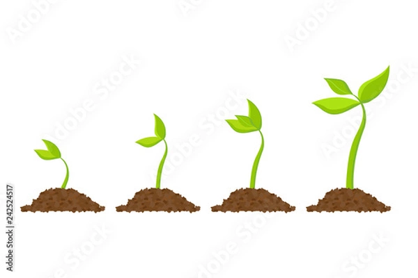Fototapeta Simple sprouting seed drawing. Sprout, plant, tree growing agriculture icons. Vector illustration