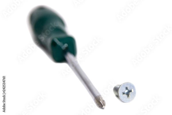 Obraz Screwdriver with screws on a white background
