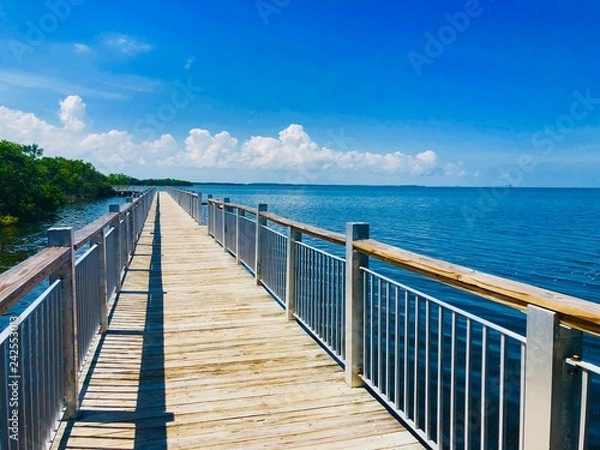 Obraz Bridge Boardwalk