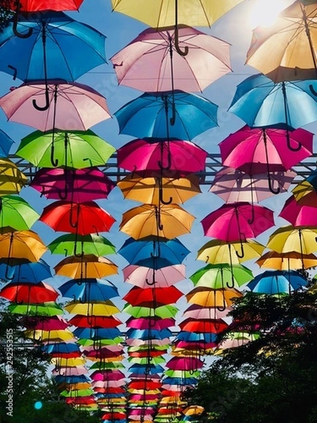 Obraz Umbrella Art