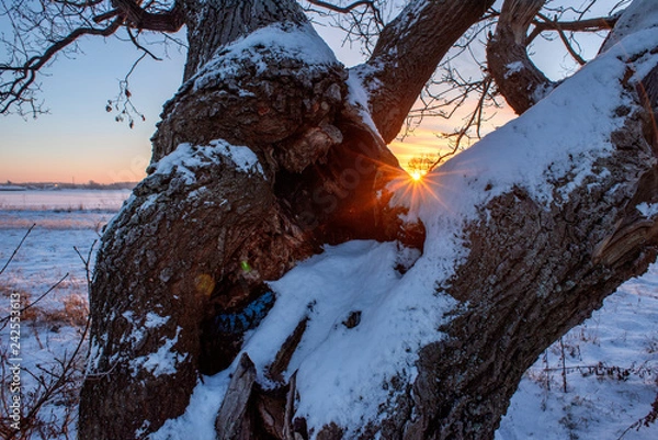 Fototapeta солнечный луч