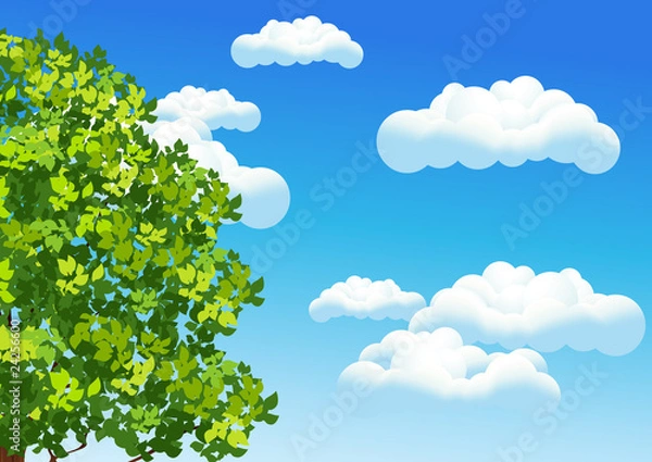 Fototapeta Summer sky