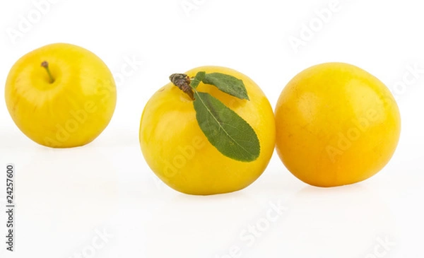 Obraz yellow plum isolated in white background