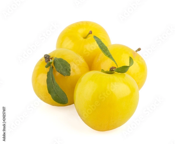 Fototapeta yellow plum isolated in white background