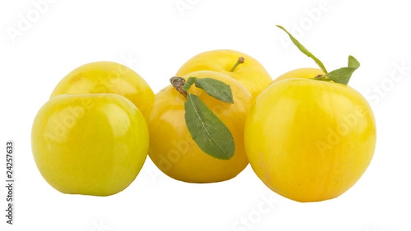 Fototapeta yellow plum isolated in white background