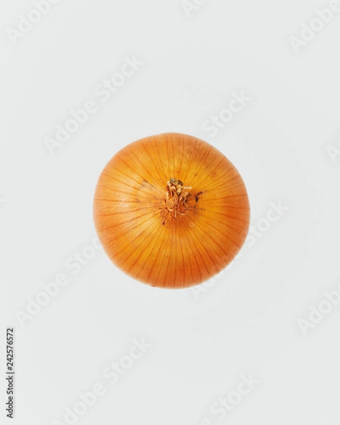 Obraz 上から見た玉ねぎ