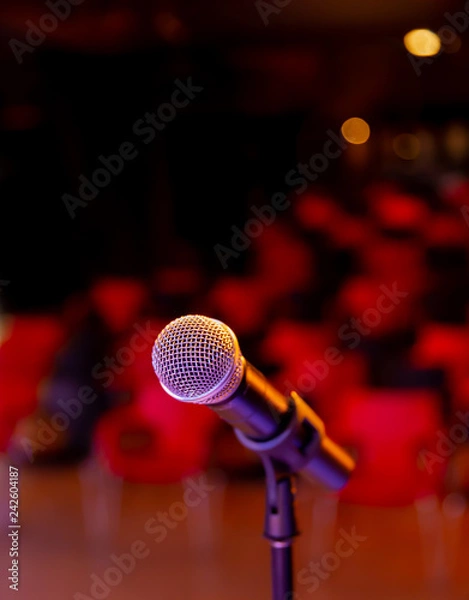 Obraz The microphone on the stage