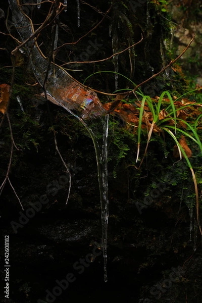 Fototapeta 虹色の氷柱