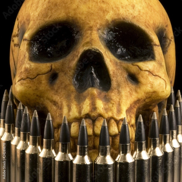Obraz skull and bullets 2