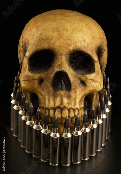 Obraz skull and bullets 1